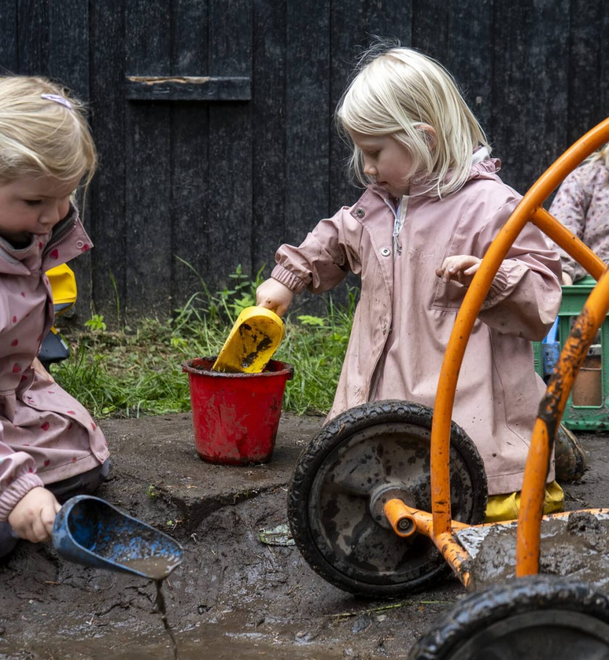 TT_FRISKOLE_146