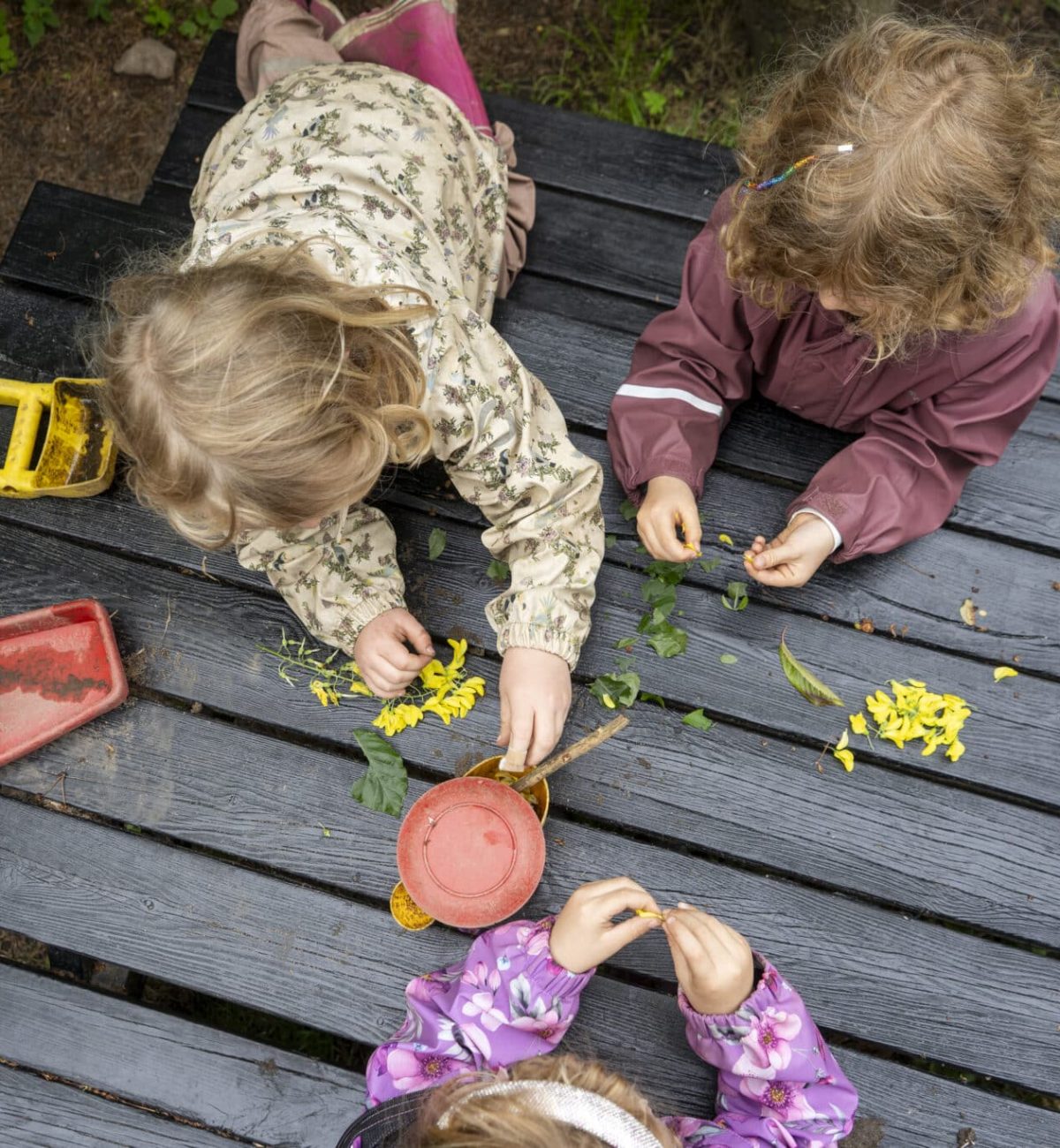 TT_FRISKOLE_156