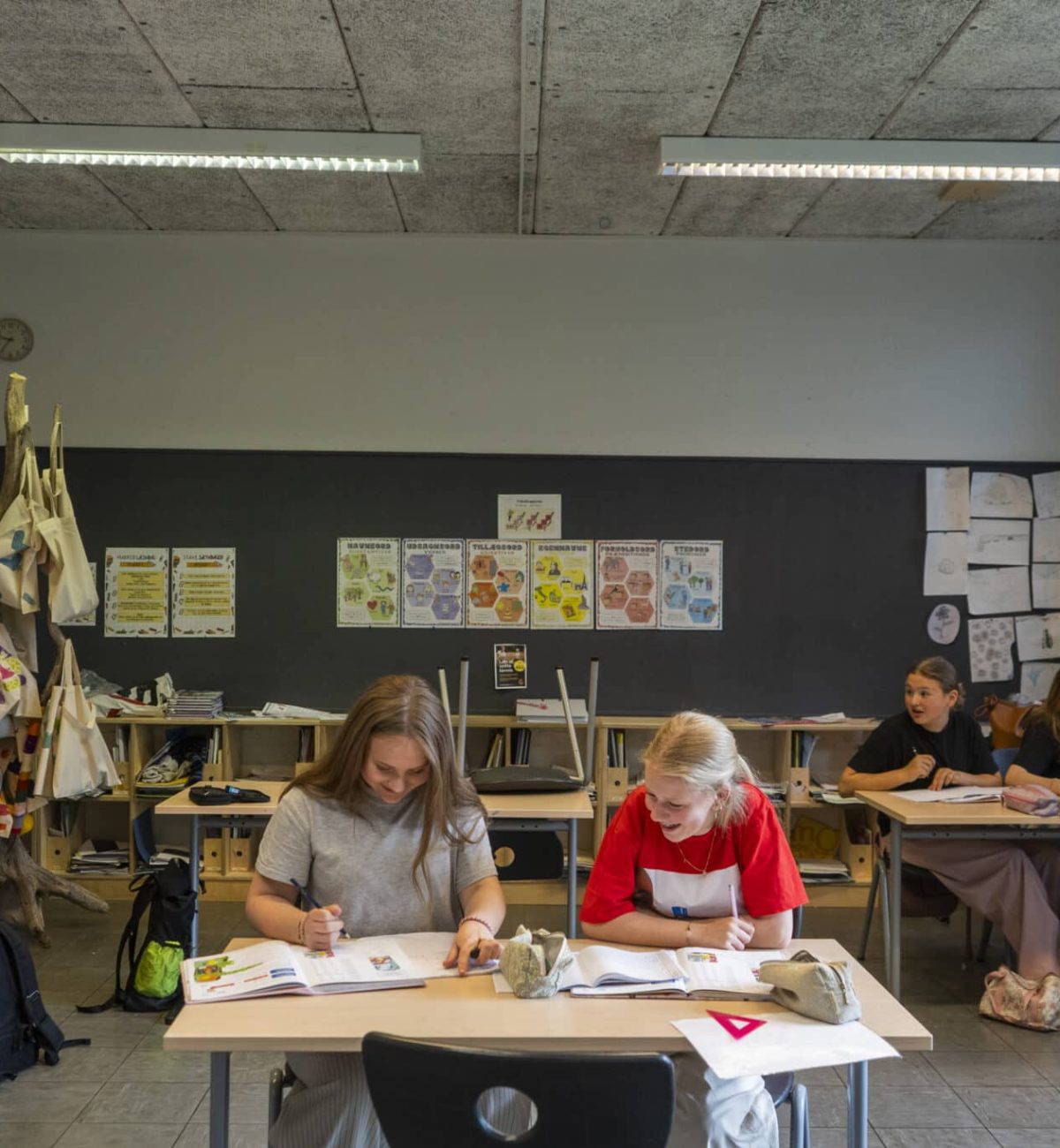 TT_FRISKOLE_62